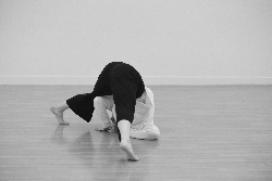 logo Art event Photography